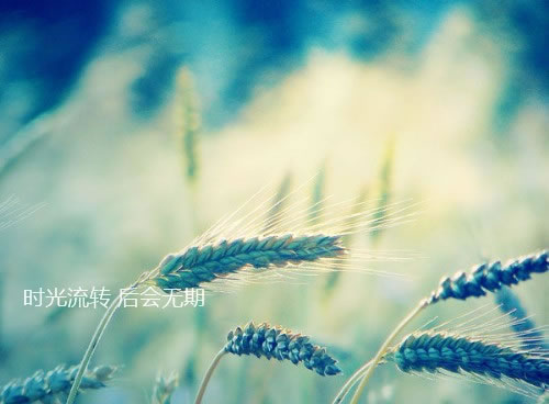 导致过敏性皮炎的因素你知多少