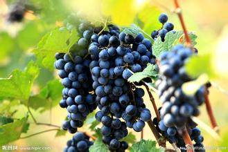 重庆皮肤科医院